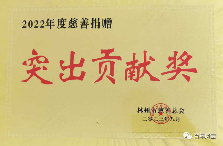 云鼎（中国）特钢荣获2022年度慈善“突出贡献奖”荣誉称号