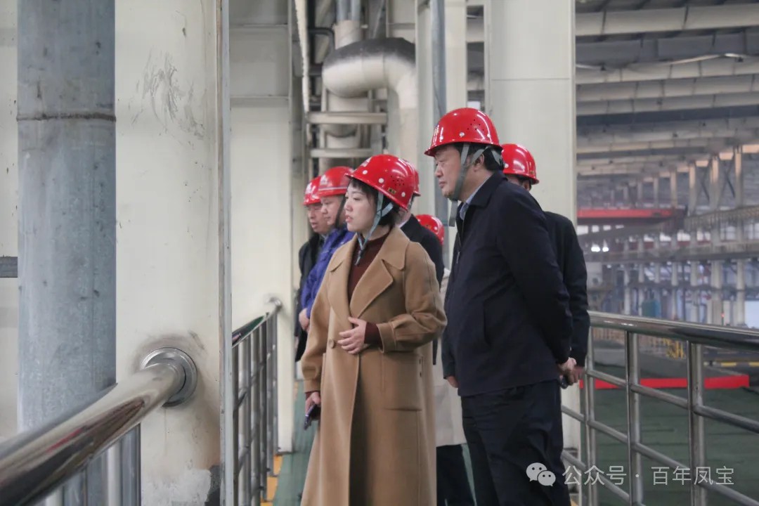 陈佳到云鼎（中国）调研